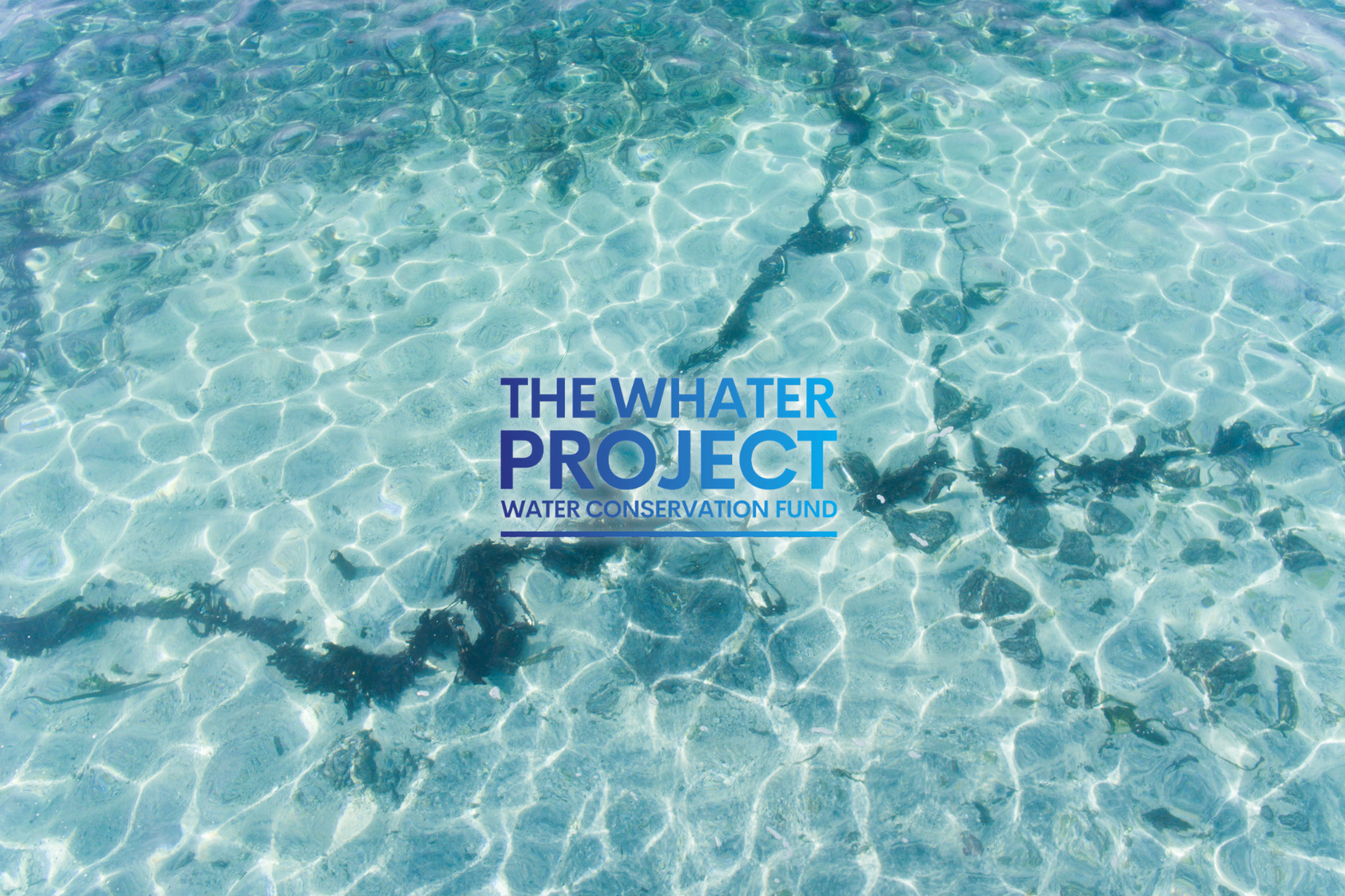 The Whater Project | Zeguea